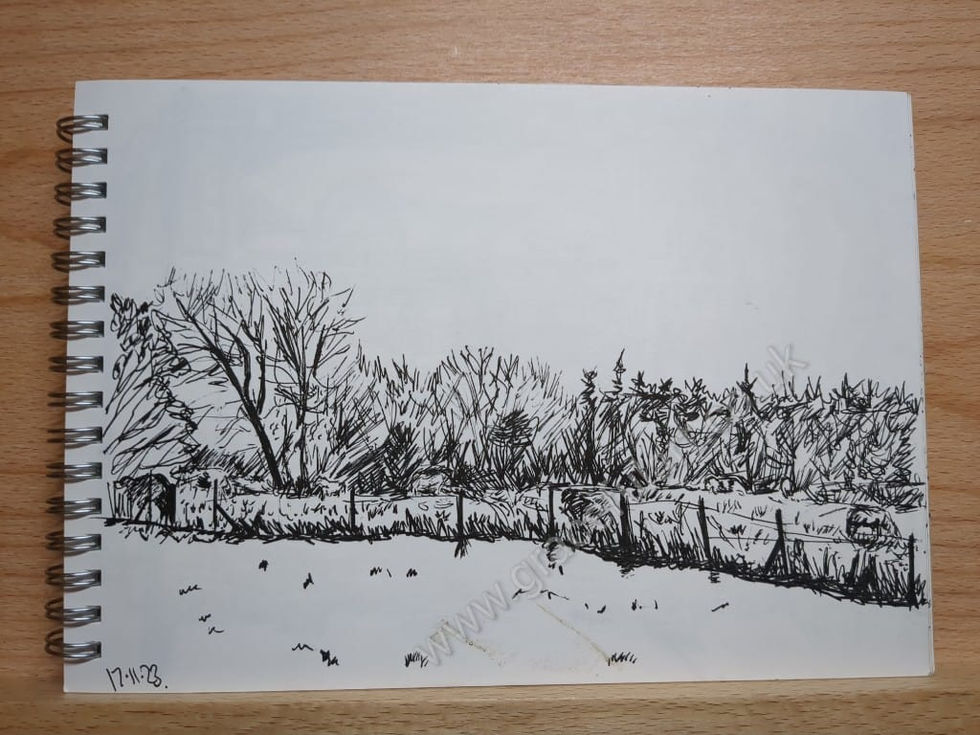 horsefield171123
