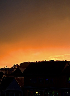 b15ea6a1-422c-4e13-9bbc-711016f056e3_edited.jpg