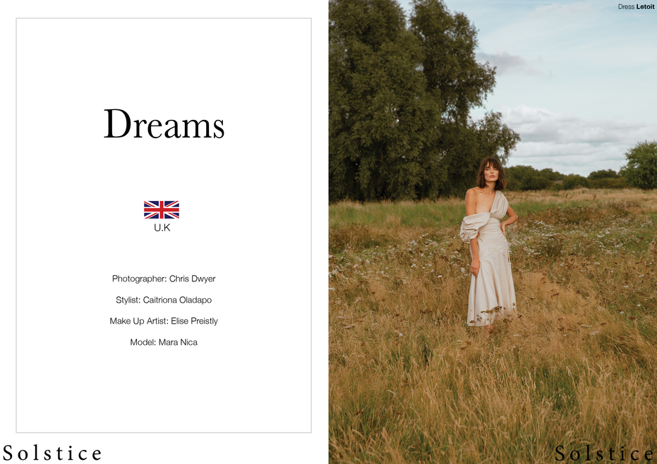 Chris Dwyer Webitorial.png