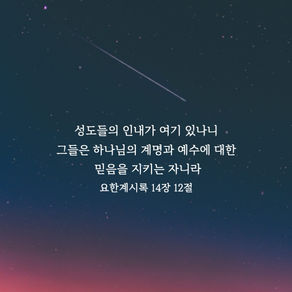 2024년 12월 11일