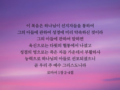 2023년 11월 14일
