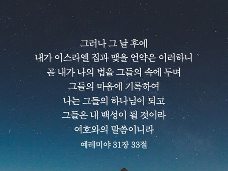 2023년 11월 1일