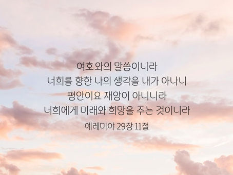 2023년 11월 20일