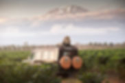 HomepagephotoS.jpg