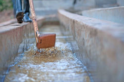 Cleaning the Cherries