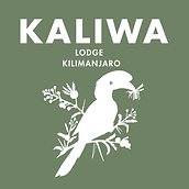 Kaliwa Logo White on Green 7cm.png