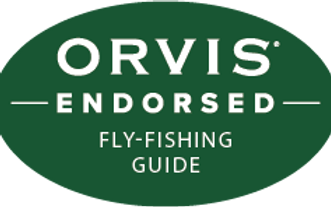 Endorsed_FFGuide.png