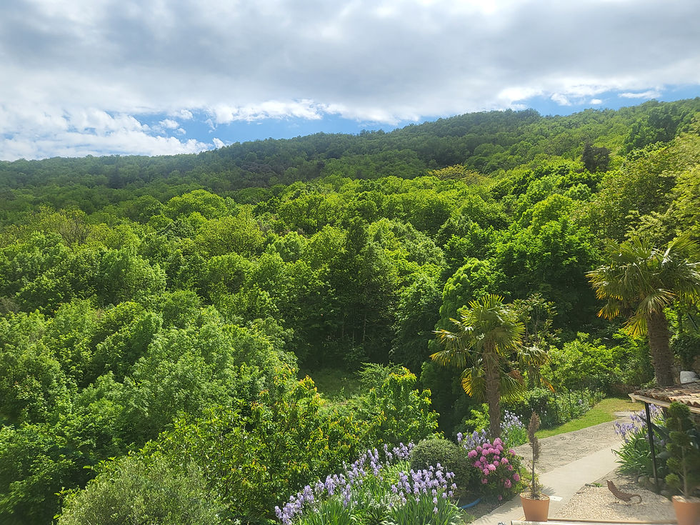 Vue sur la colline