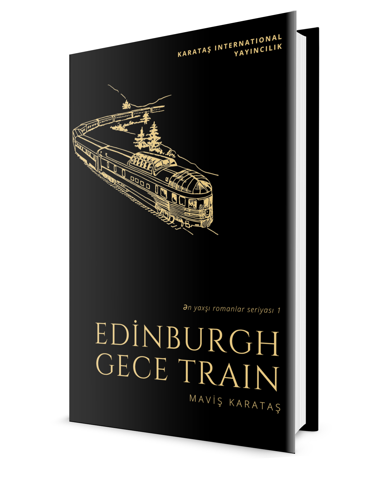Print Book Edinburgh Night Train