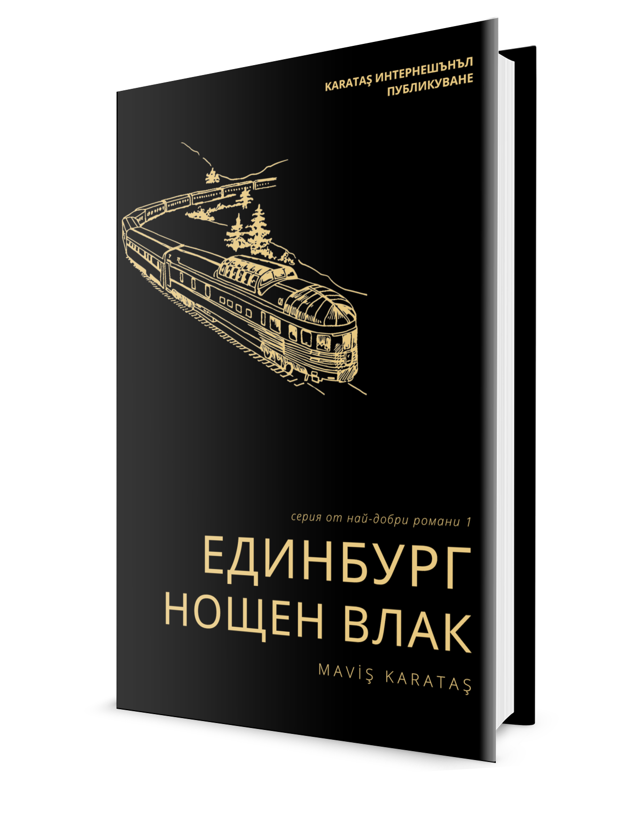 Print Book Edinburgh Night Train