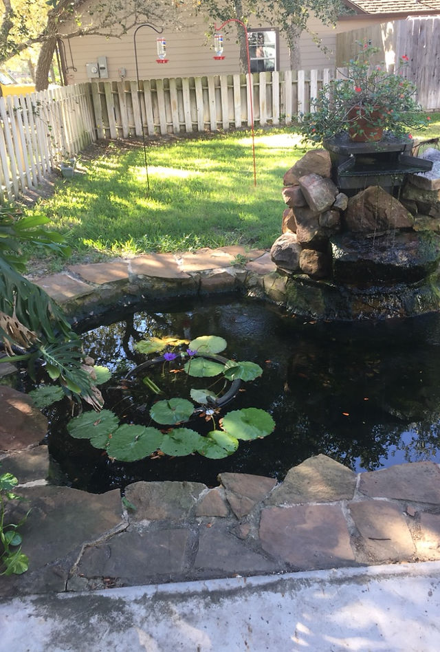 18-Finished Backyard Pond