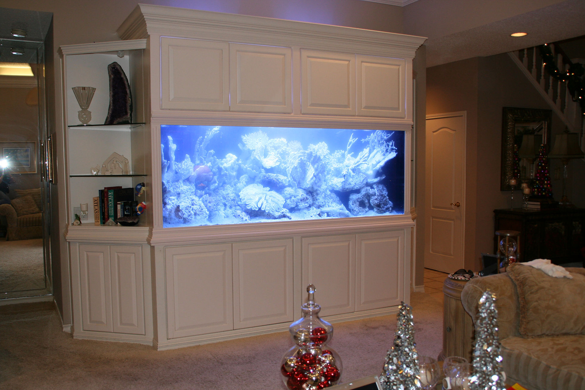 21-Finished In-Wall Aquarium Set-Up