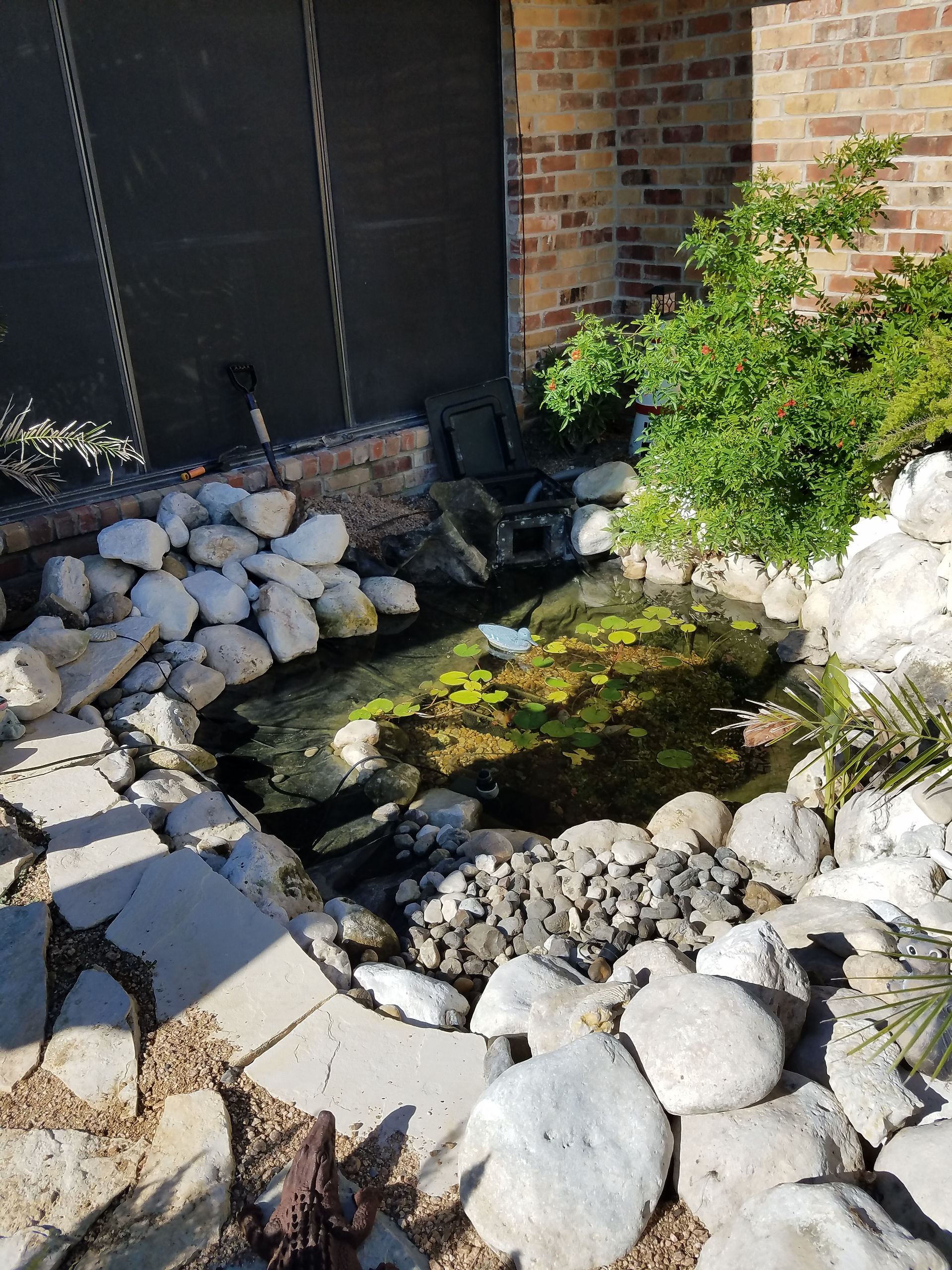 1-First Look Leaking Backyard Pond