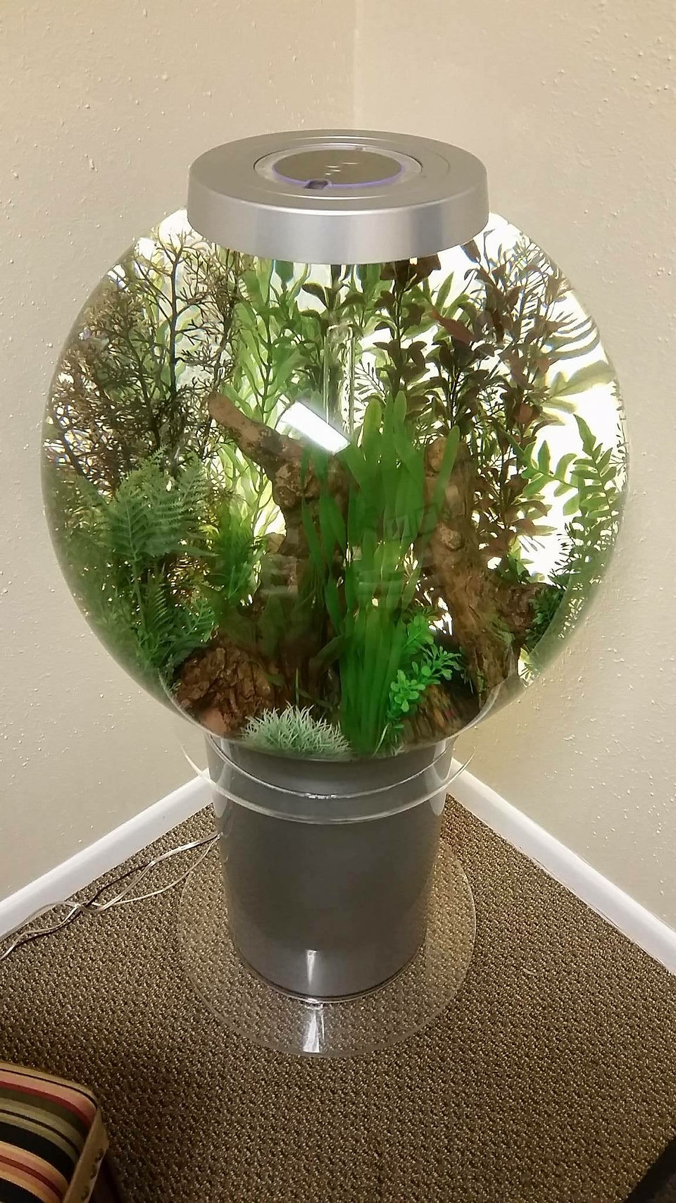 7-Finish BiOrb Aquarium Set-Up