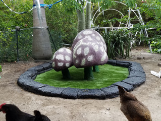 Functional Yard Art!