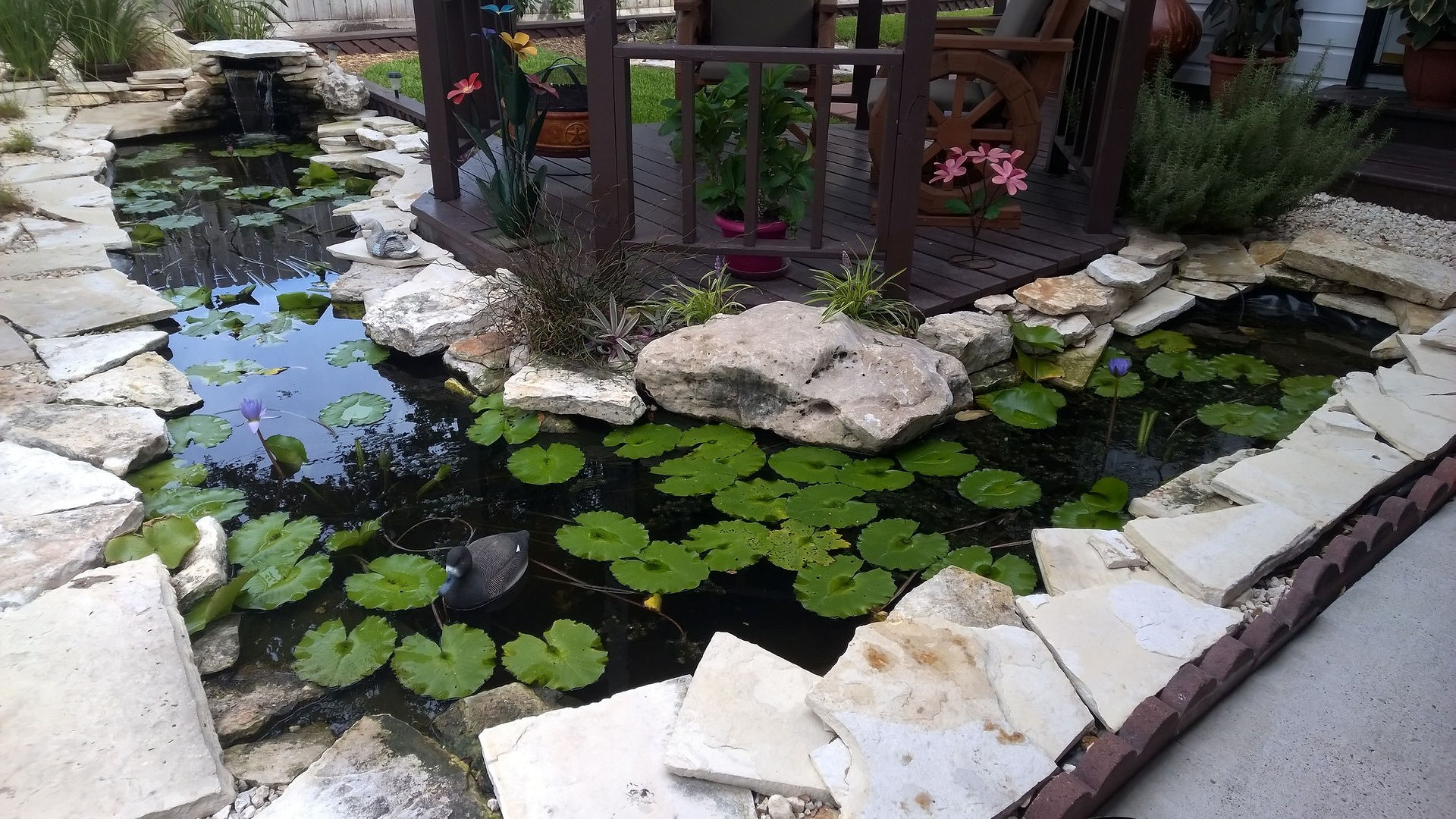 31-Finished Pond