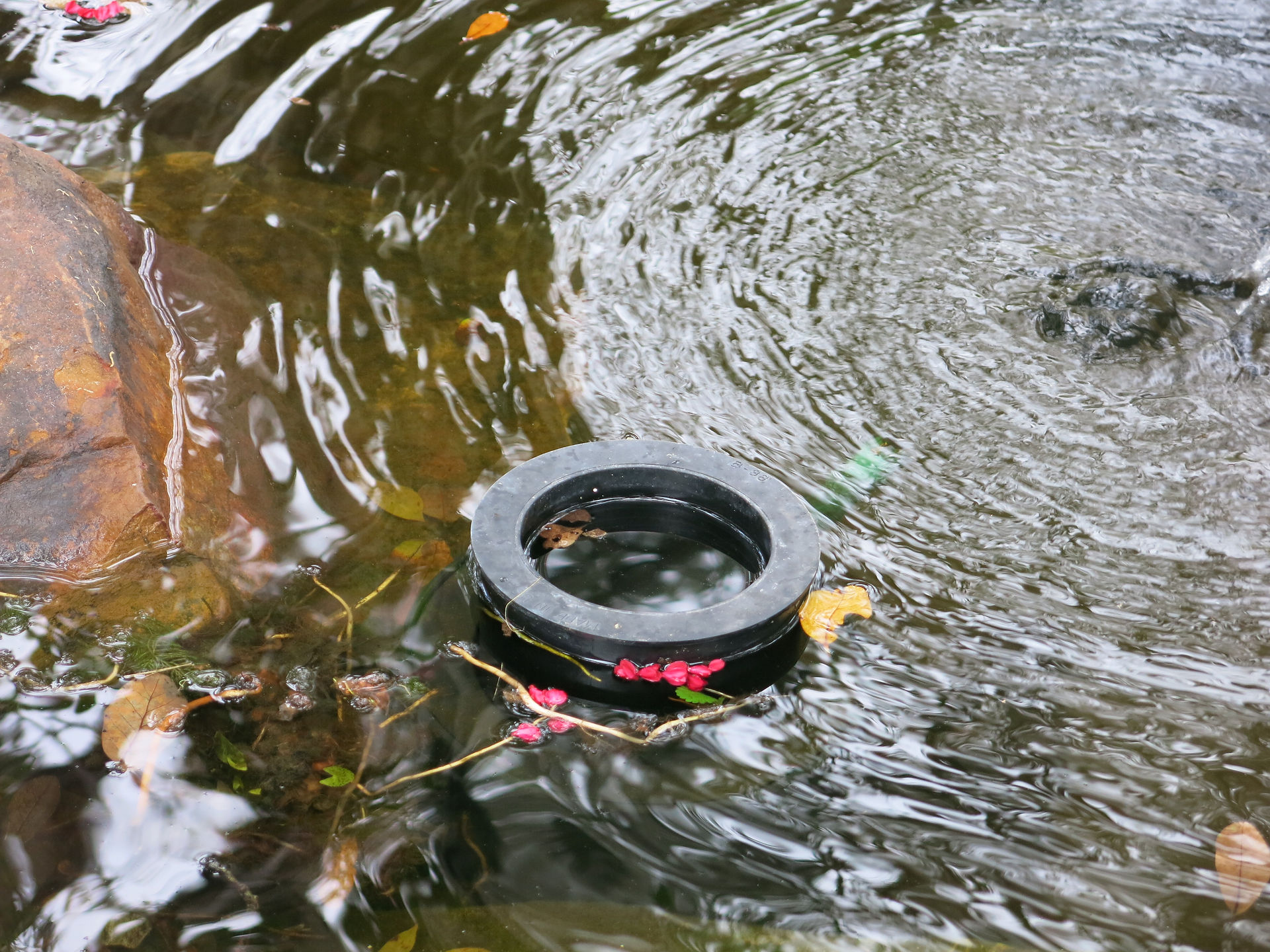 22-No Niche Skimmer Working