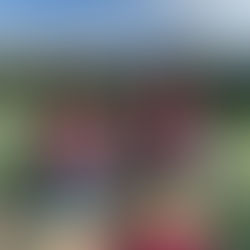 2022 夏季岡崎ダブルステニス大会