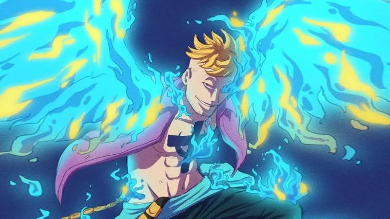 Marco on One Piece