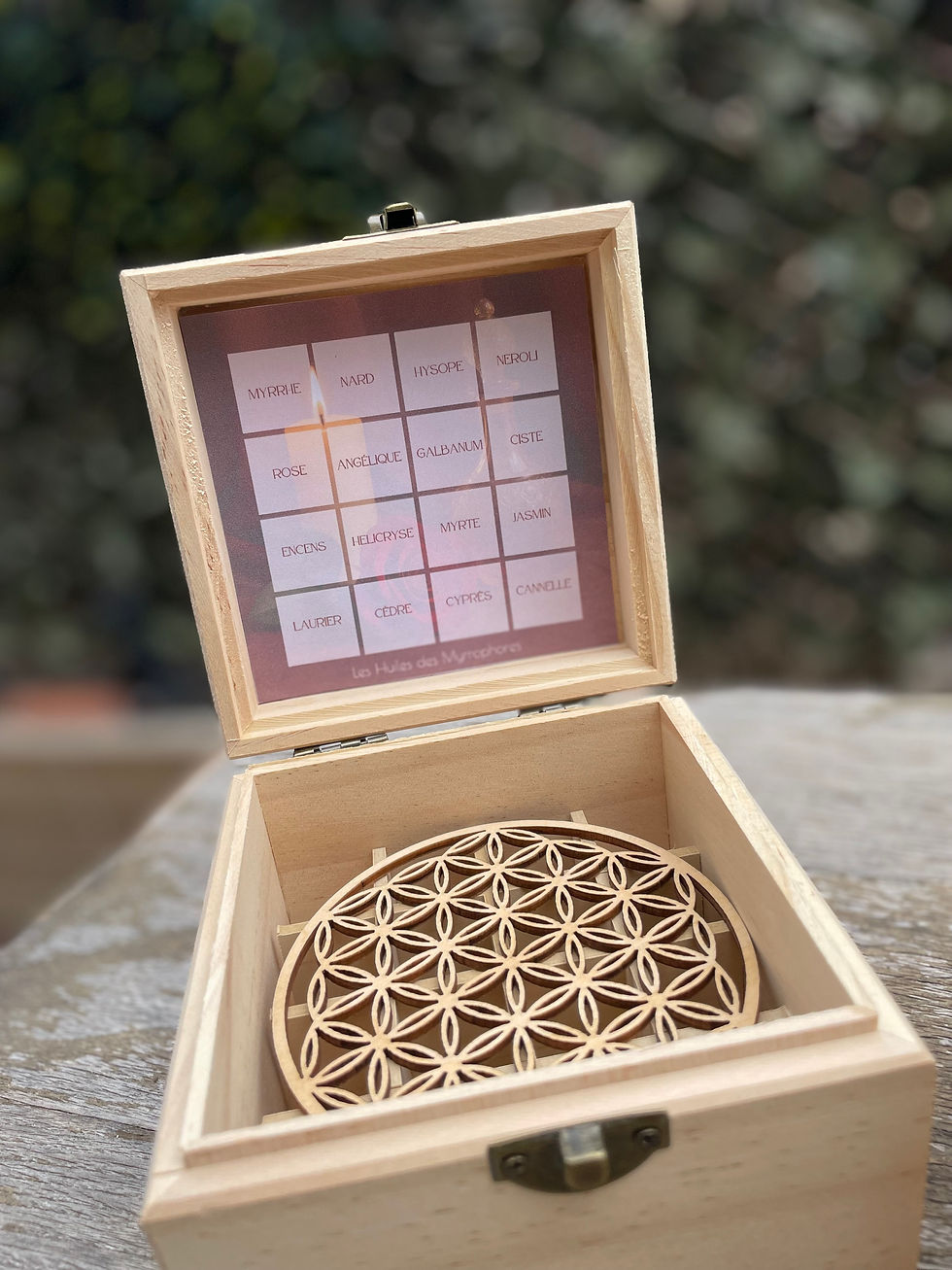 Miniature : Coffret des Myrrophores