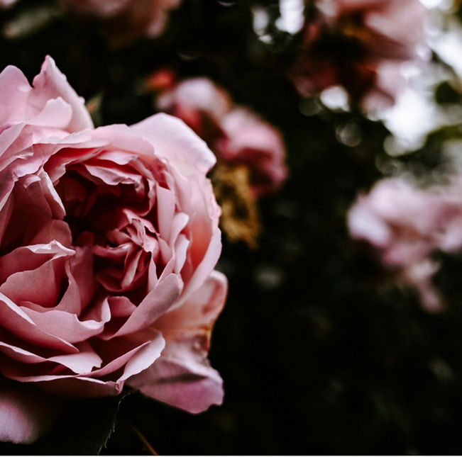 Screenshot_20241101_013827_Samsung Internet.jpg