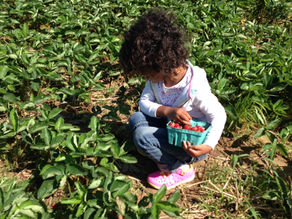 It’ll take years to catch up?