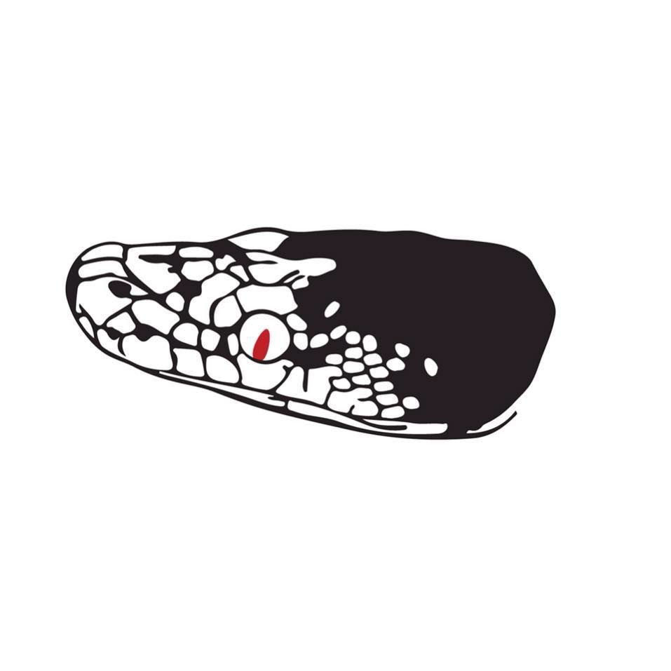 Miniatura: PIED