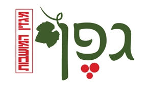 מעין צבי: החששות נוגעים עכשיו בצמרת