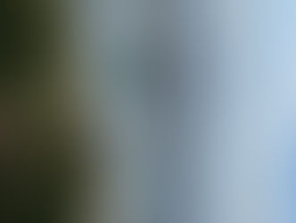 Hiroshima Event Summary 2025: Discover the Best Festivals and Local Experiences in Hiroshima