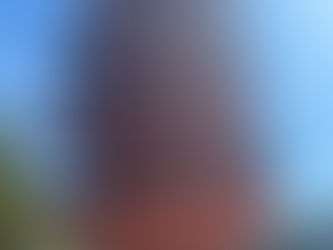 Miyajima Travel Guide: Explore Japan’s Iconic Island