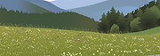 Mann Landscape.png