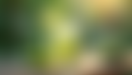 Delicious Sugar-Free Mocktail Recipes Made Easy