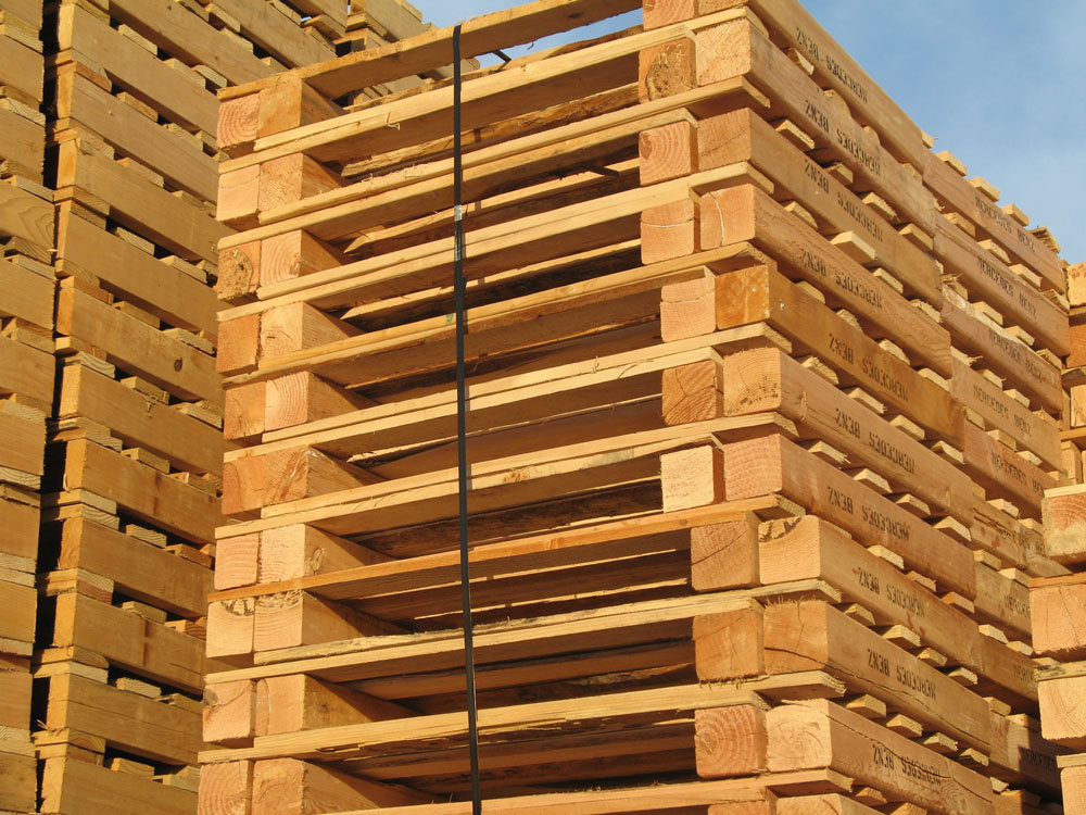 Pallet Market Reports Continued Global Expansion through 2026