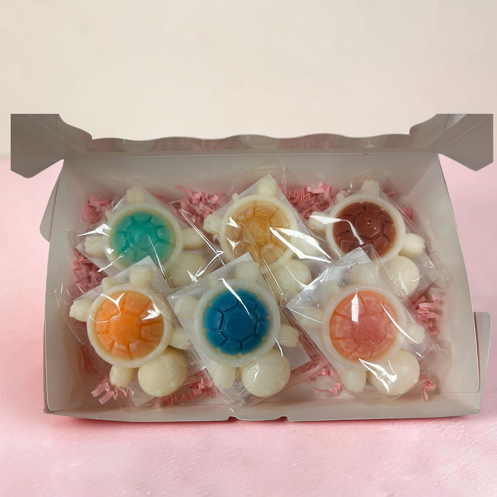 Coffret tortue fondant monoi infinity candles drome