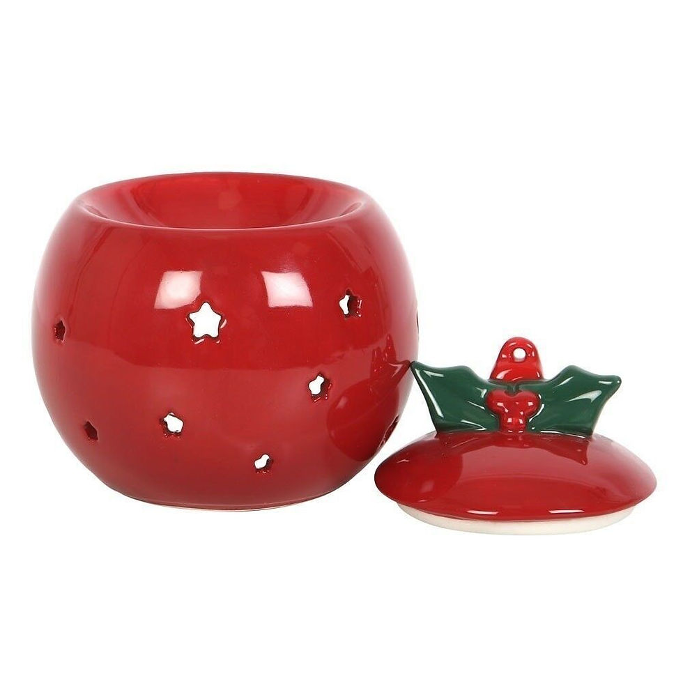 Brûleur houx  noel infinity candles drome