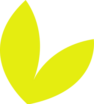Socoplast logo
