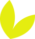 Socoplast logo
