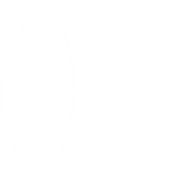 Socoplast logo
