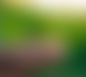 Saving for a Down Payment? Here’s What You Should Know.