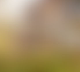 Buyers: You May Face Less Competition as Bidding Wars Ease