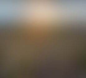 Real Estate Is Still Considered the Best Long-Term Investment