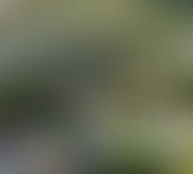 What Buyers Need To Know About the Inventory of Homes Available for Sale