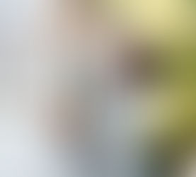 Getting Your House Ready To Sell? Work with an Agent for Expert Advice