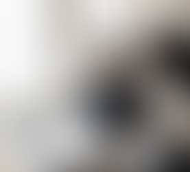 Top Mistakes Homeowners Are Making in 2026 (And How To Avoid Them)