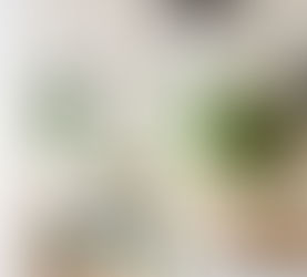 How Your Equity Can Grow over Time