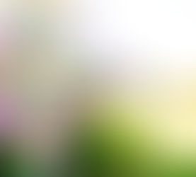 Homebuyer Activity Shows Signs of Warming Up for Spring