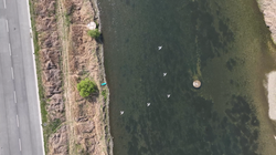 Swarm Flight Technology Demonstration