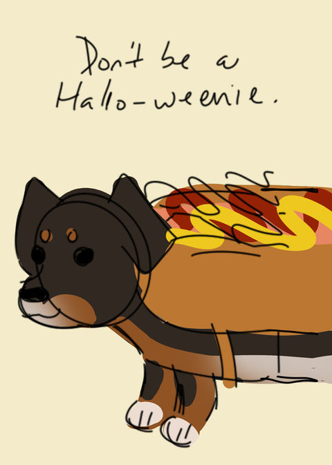 Chosen Color Comp (& Orientation)