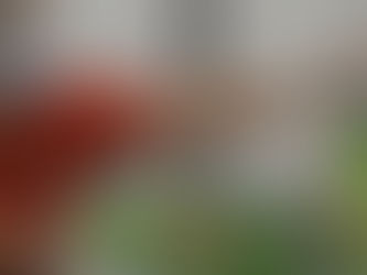 Love Out Loud-Meridian Has Officially Kicked-Off