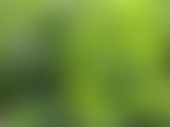 Public hearing on medical marijuana initiative set for Thursday in Meridian